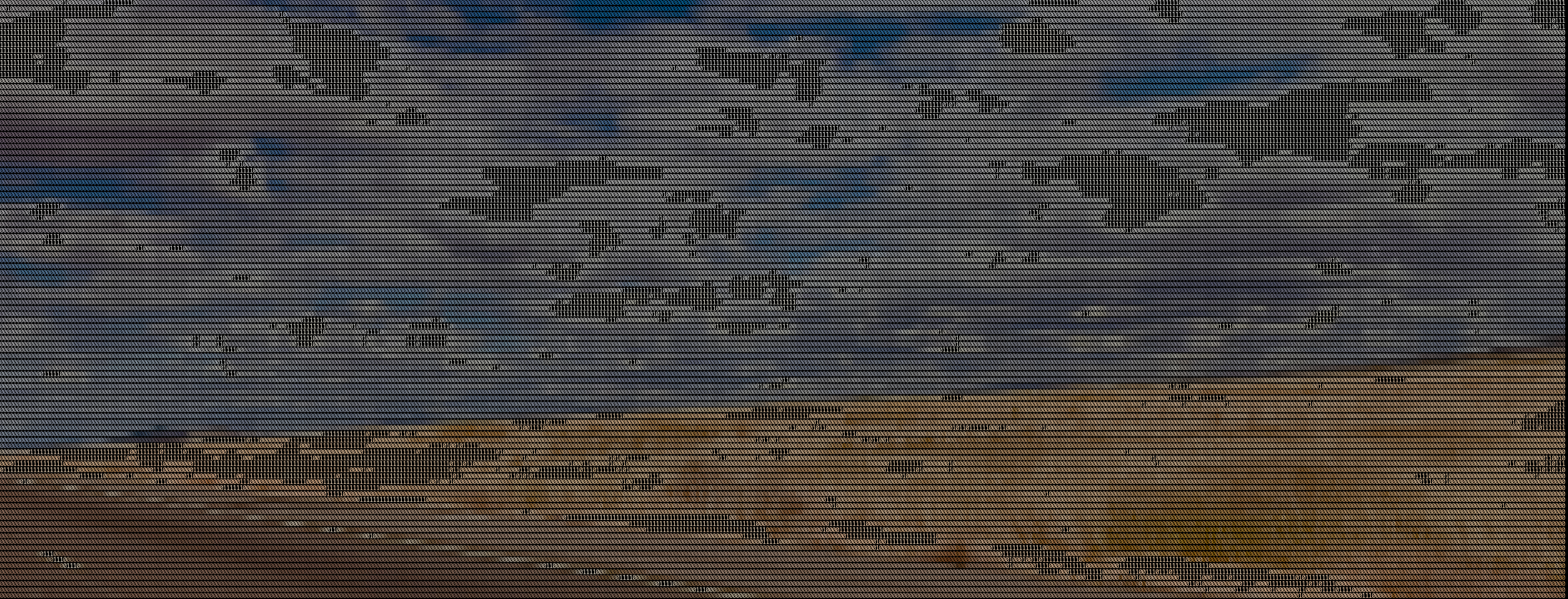 a picture of the grassy field circa 2020 in binary ascii